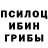 Галлюциногенные грибы MAGIC MUSHROOMS Andrei Perevozkin
