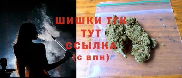 PSILOCYBIN Коряжма