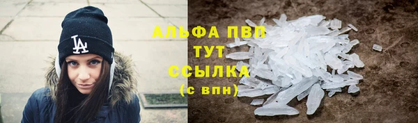 прущая мука Корсаков