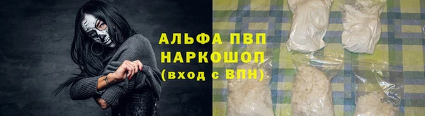 прущая мука Корсаков