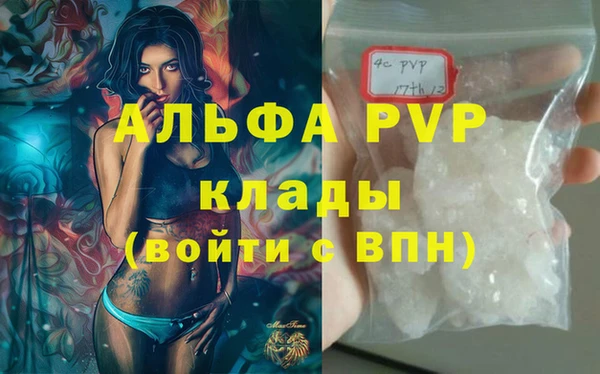 PSILOCYBIN Коряжма