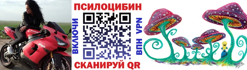 Купить  Вятские Поляны  Псилоцибиновые грибы мухоморы 